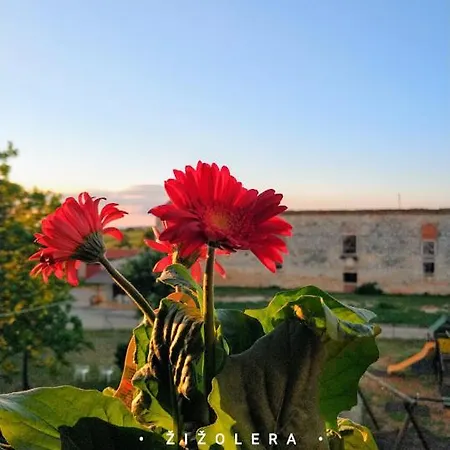 Stancija Cervar Apartment